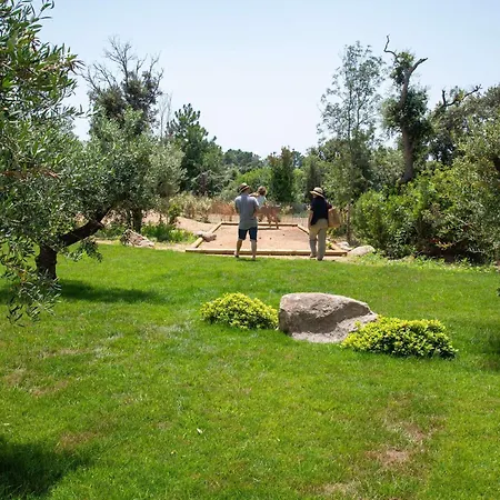 Ibis Styles Vecchio 3* Πόρτο Βέκιο